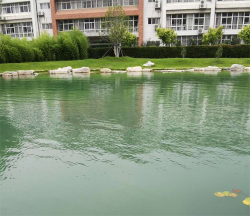 臨沂大學心湖水質提升凈化工程